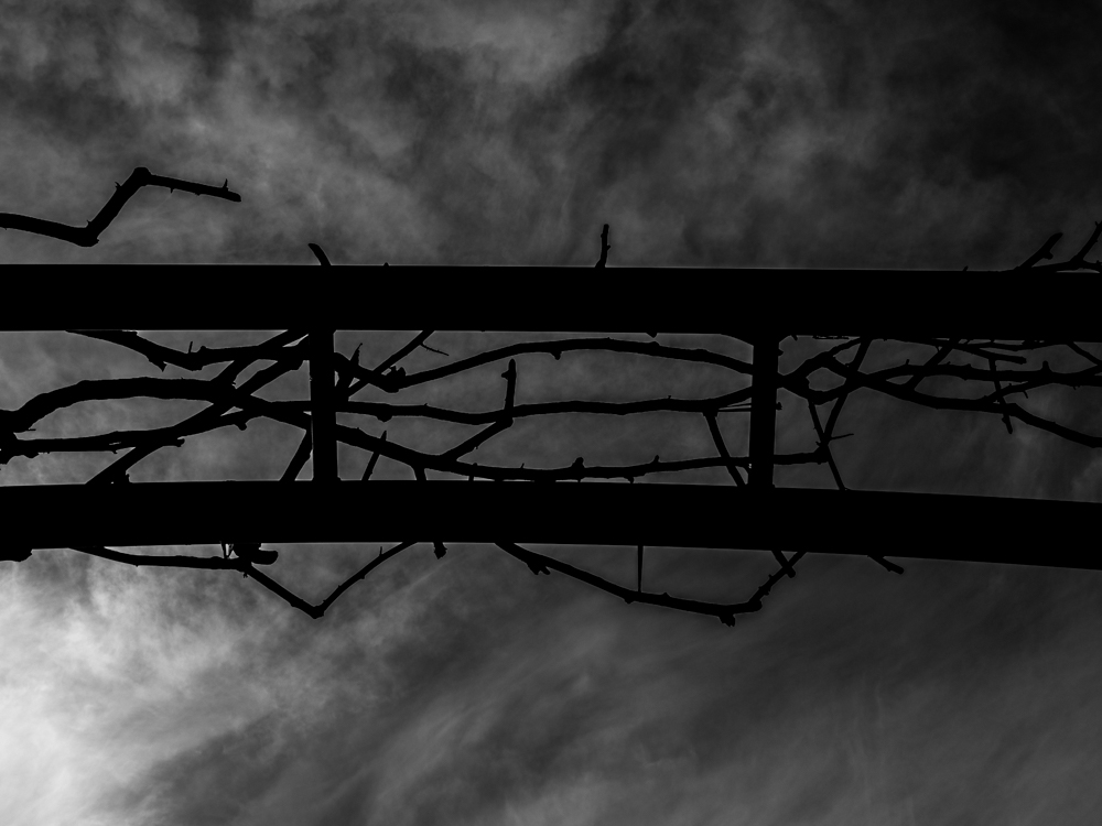 Descansco Gardens 05